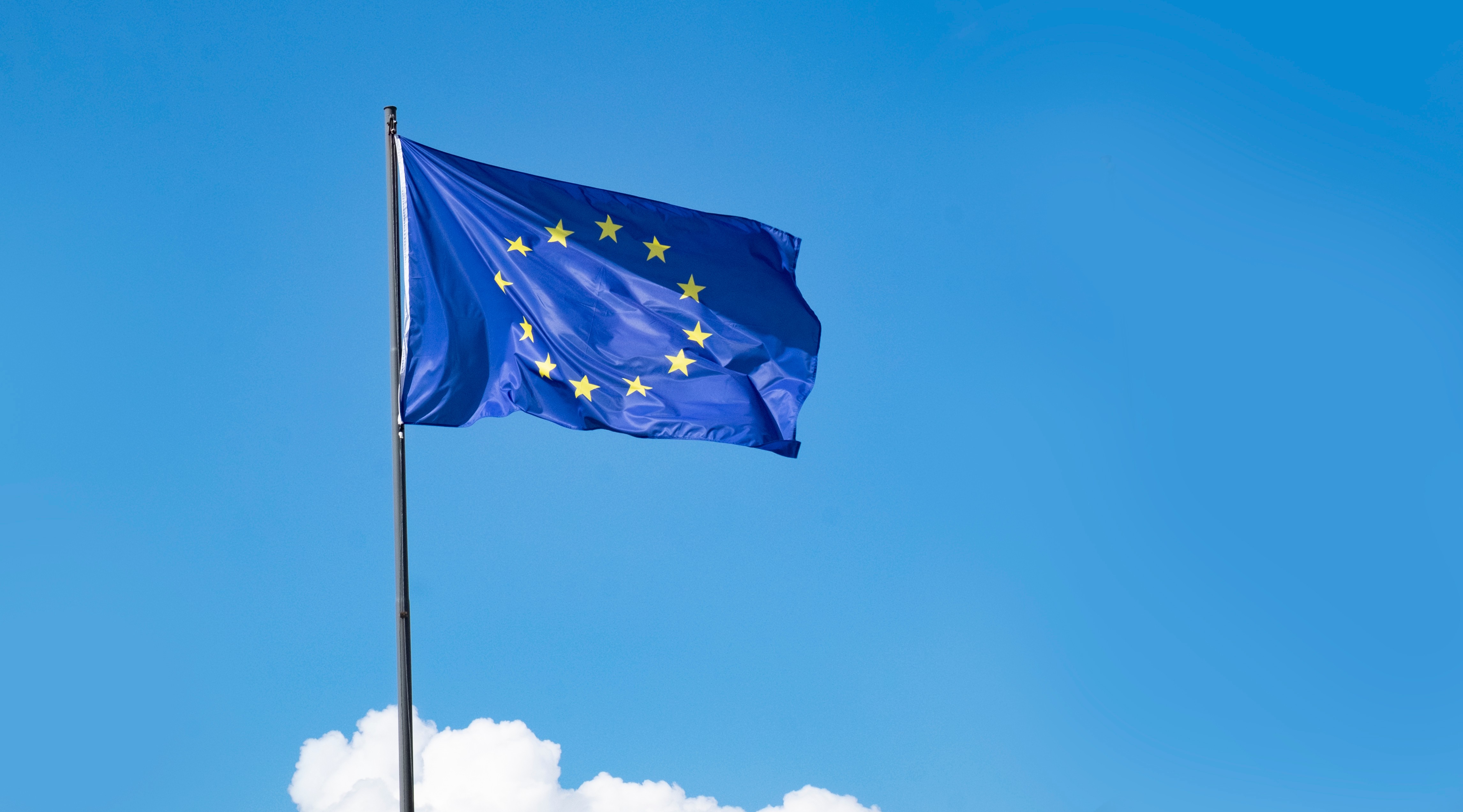 https://www.wri.org/news/statement-commitment-without-clarity-risks-europes-climate-ambitions-and-leadership