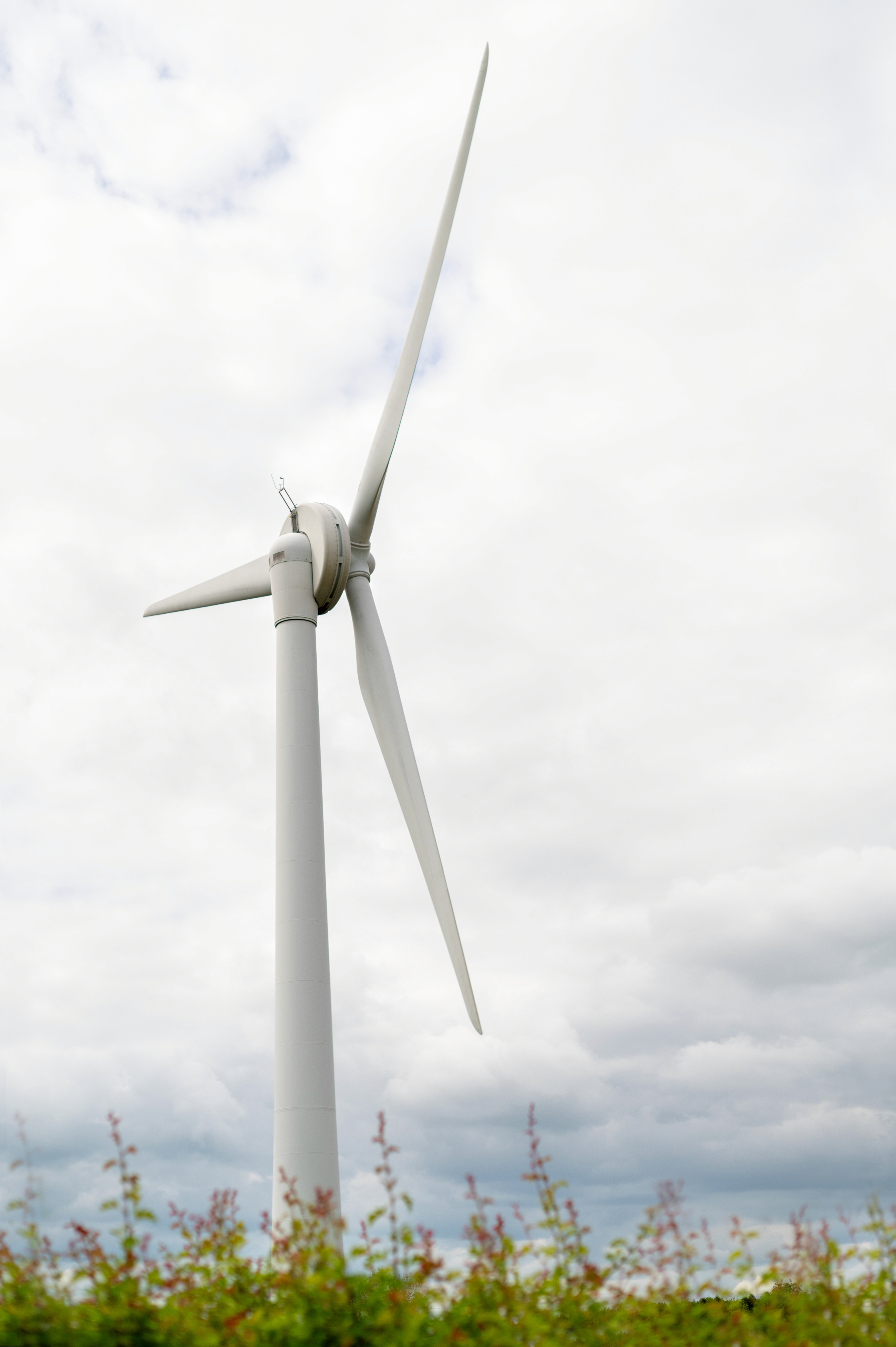 Renewable power generation surpasses coal globally for the first time