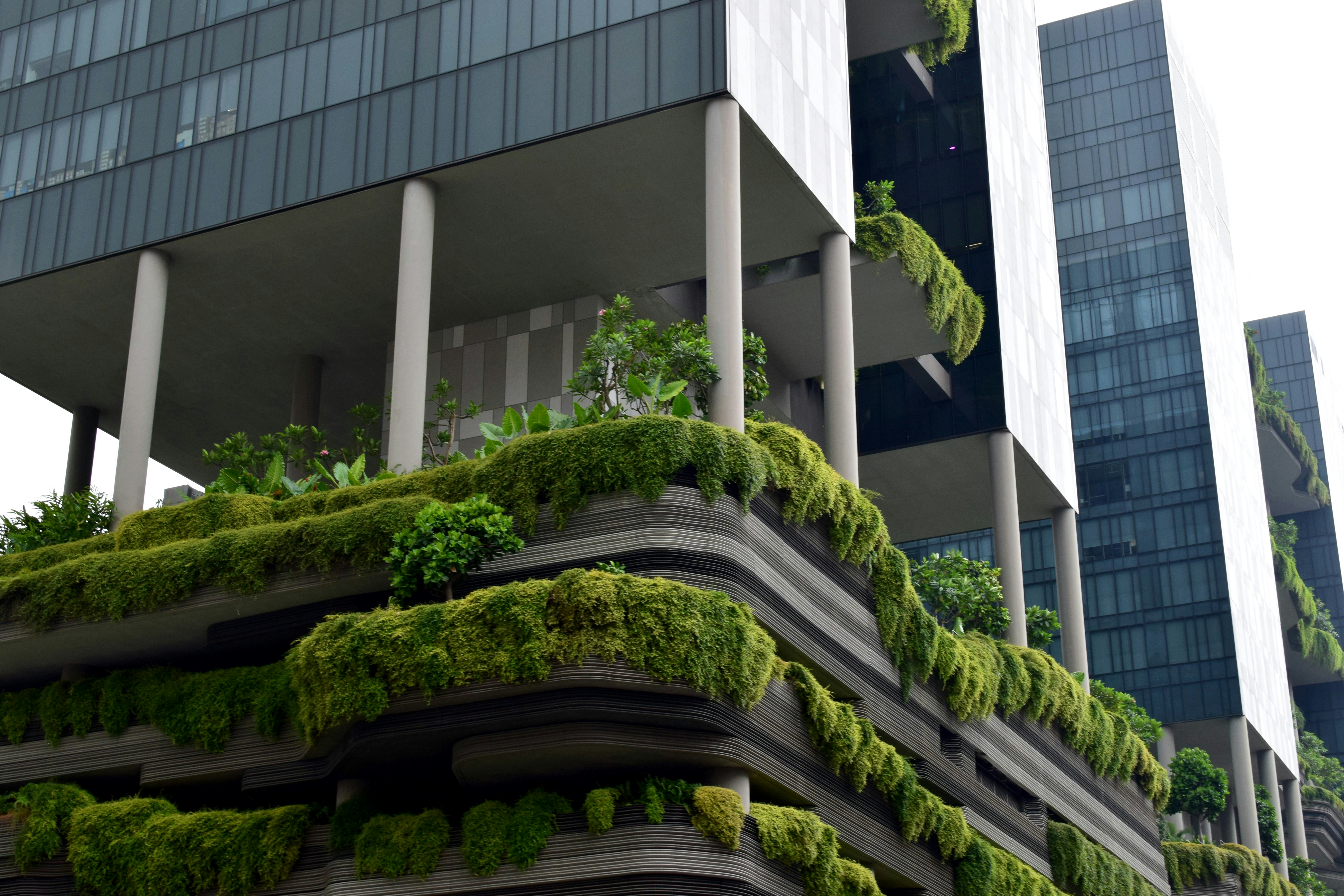 95% of businesses are holding firm on sustainability budgets
