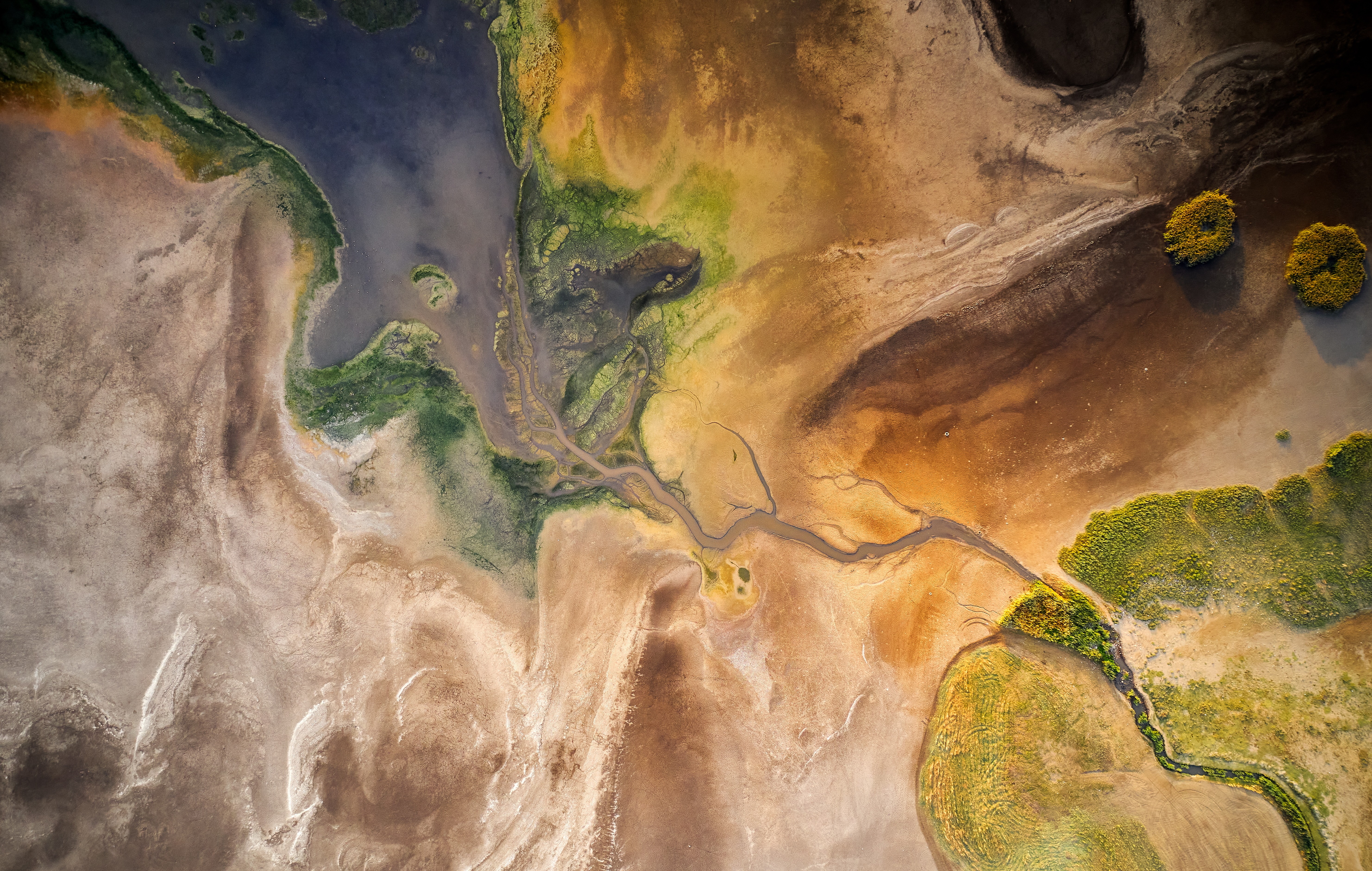 Aerial view of a river