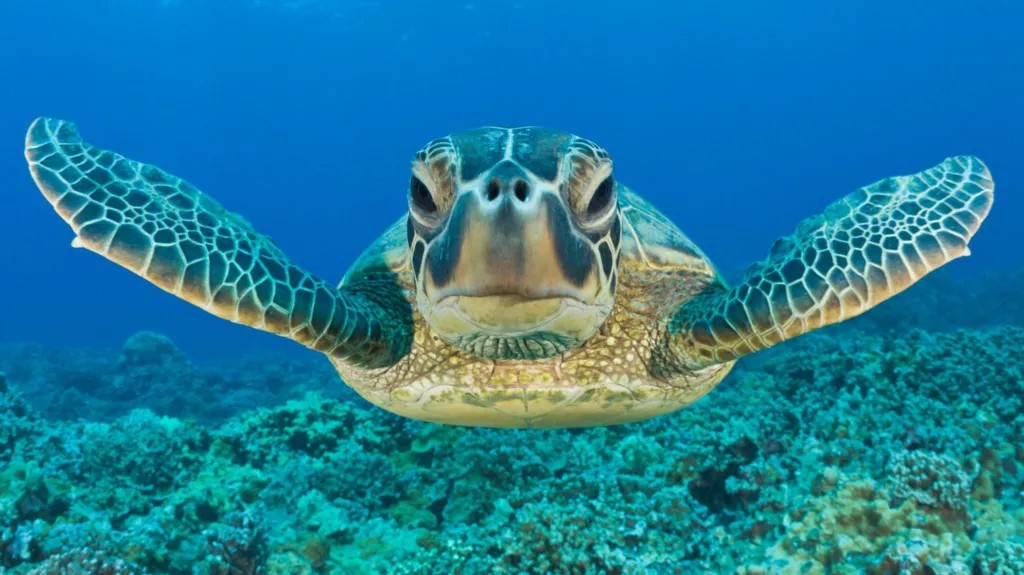 https://www.bbc.co.uk/news/articles/cg426qqqqnro