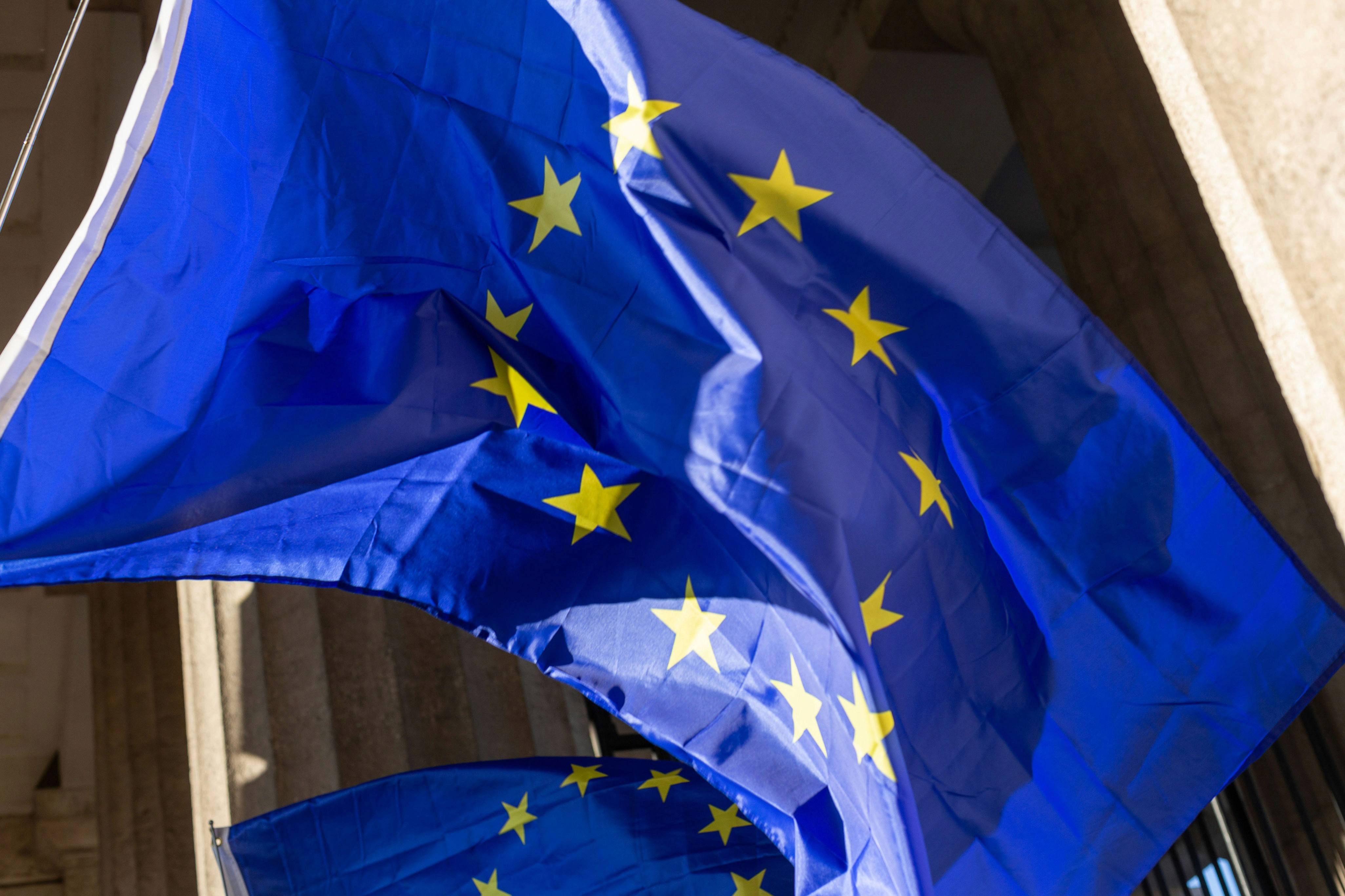 A picture of the EU flag