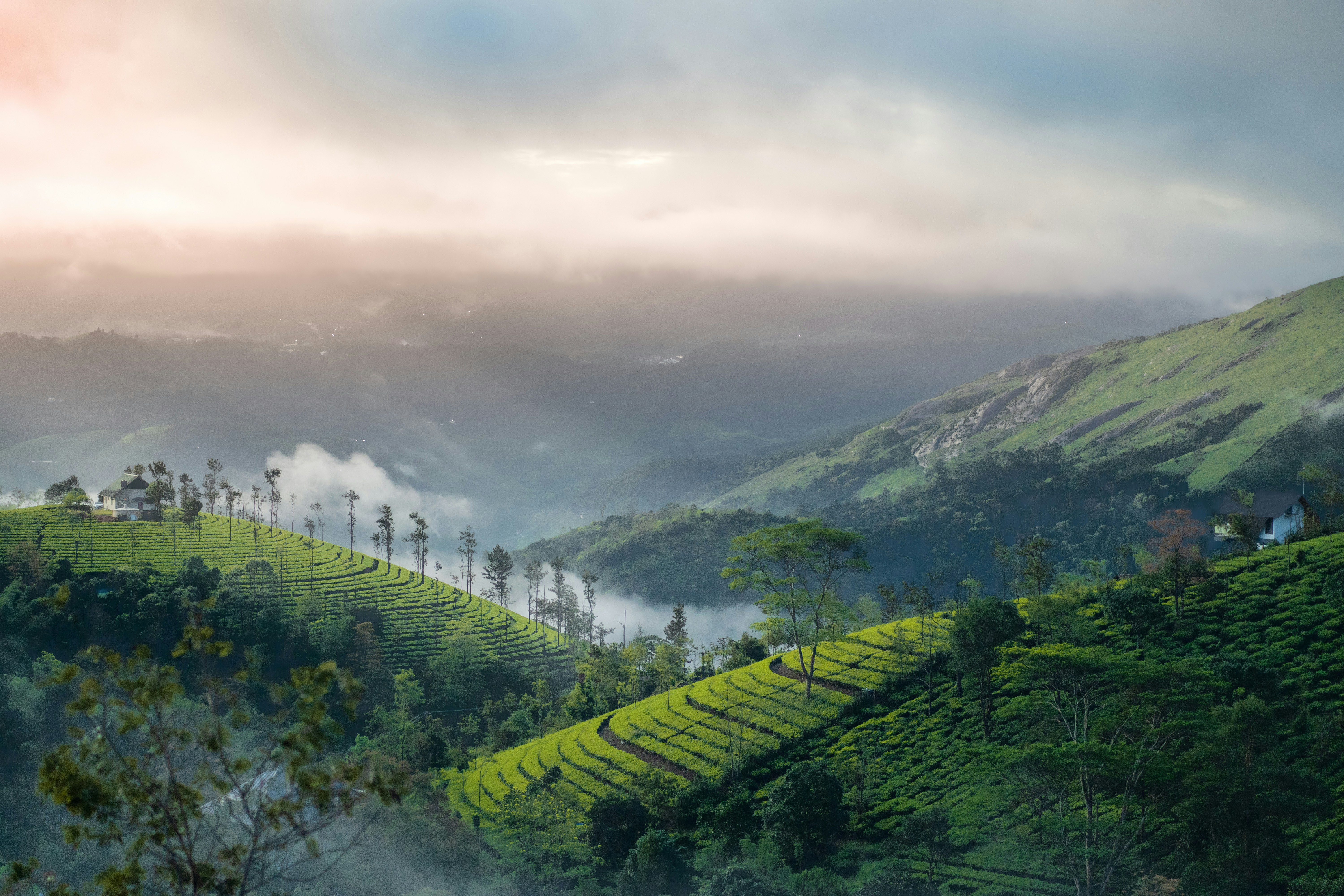 Corporate Sustainability Standards Explained