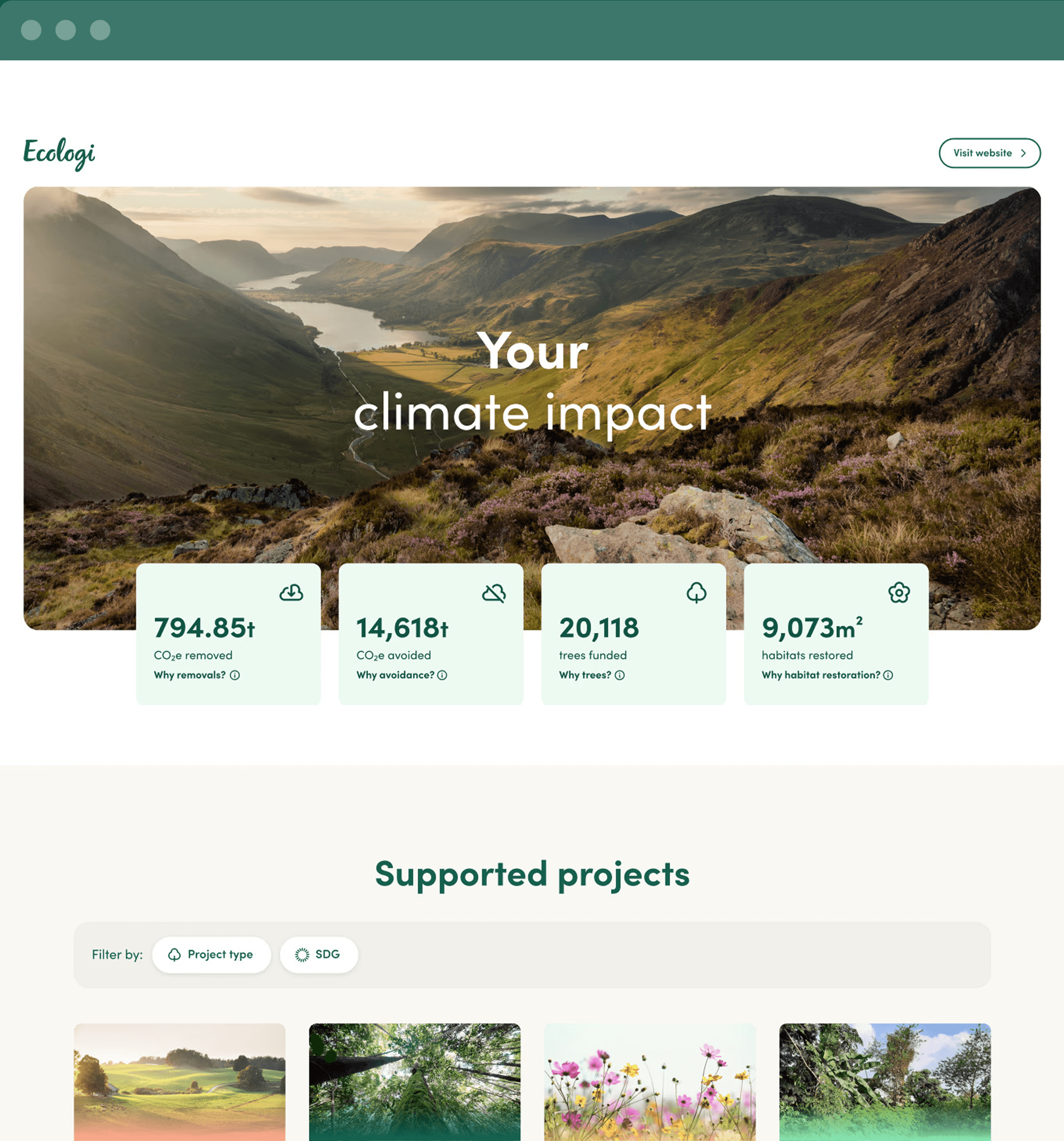 Company profile dashboard